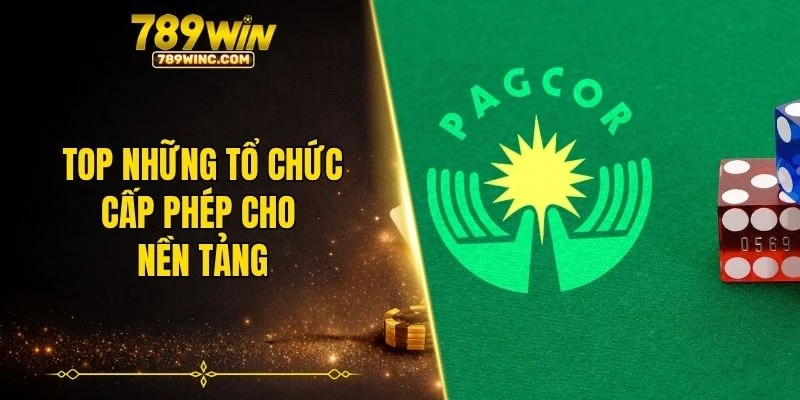 Top những tổ chức cấp phép cho nền tảng